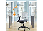 Modern Office Chair EStyle 748