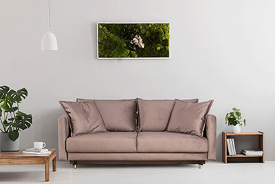 Fabric Sectional Sofa bed EF Rose