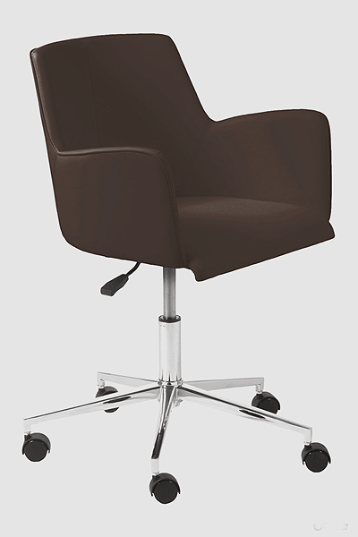 Sunny Brown Swivel Office Chair