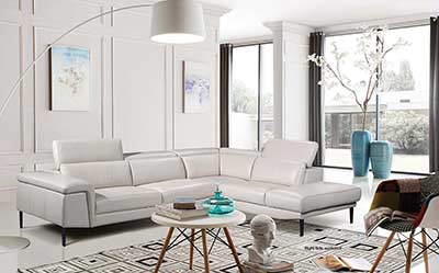 Modern Sectional sofa EF511