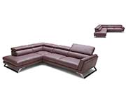 Premium Leather sectional NJ Wim