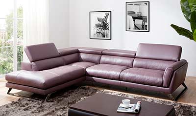 Premium Leather sectional NJ Wim