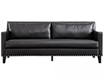 Transitional Leather Sofa AA04