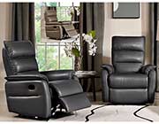 Grey Leather Recliner DS Ward