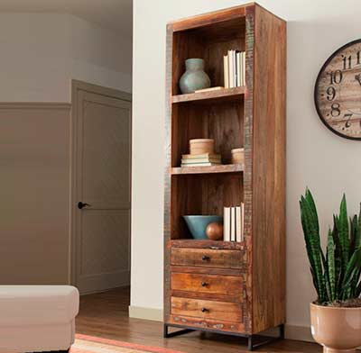 Transitional Charming Bookcase CO 819