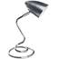 Swirl Style Metal Desk Lamp LS2608