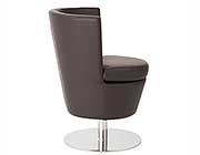 Modern Lounge Chair EStyle 807 in Brown