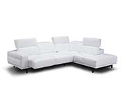 Snow Sectional sofa NJ 988