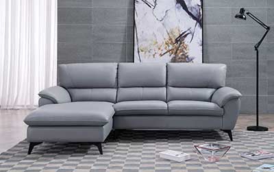 Modern Sectional Sofa in Gray AE 153