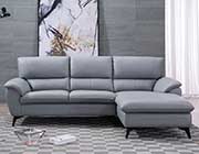 Modern Sectional Sofa in Gray AE 153